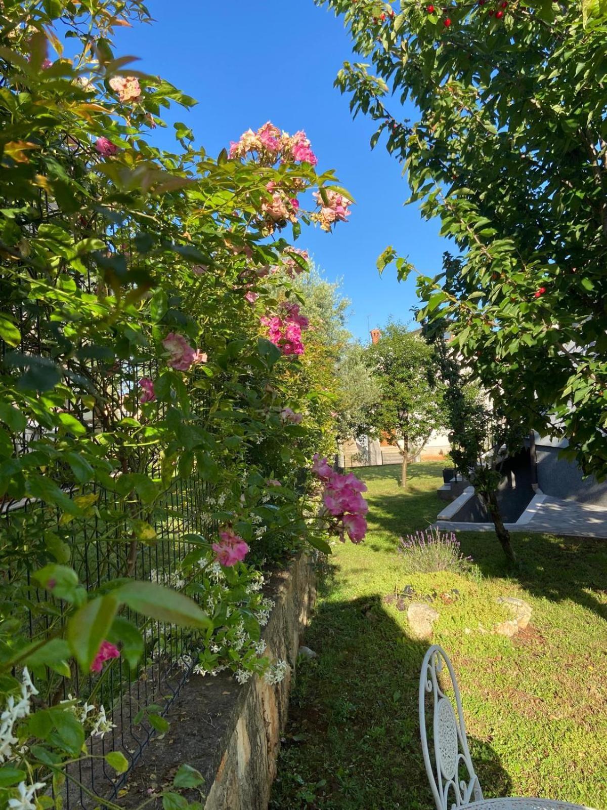 Holiday Home Mihaela Visnjan Ngoại thất bức ảnh